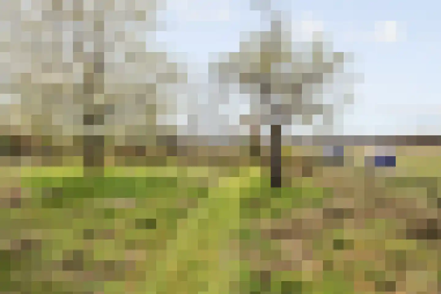 Broekstraat 59 Mierlo thumbnail 41