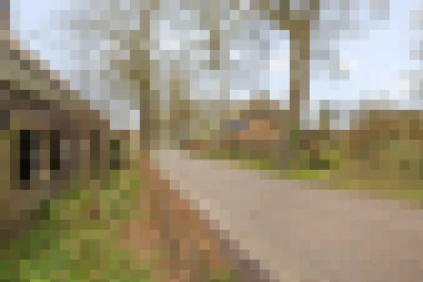 Broekstraat 59 Mierlo thumbnail 47