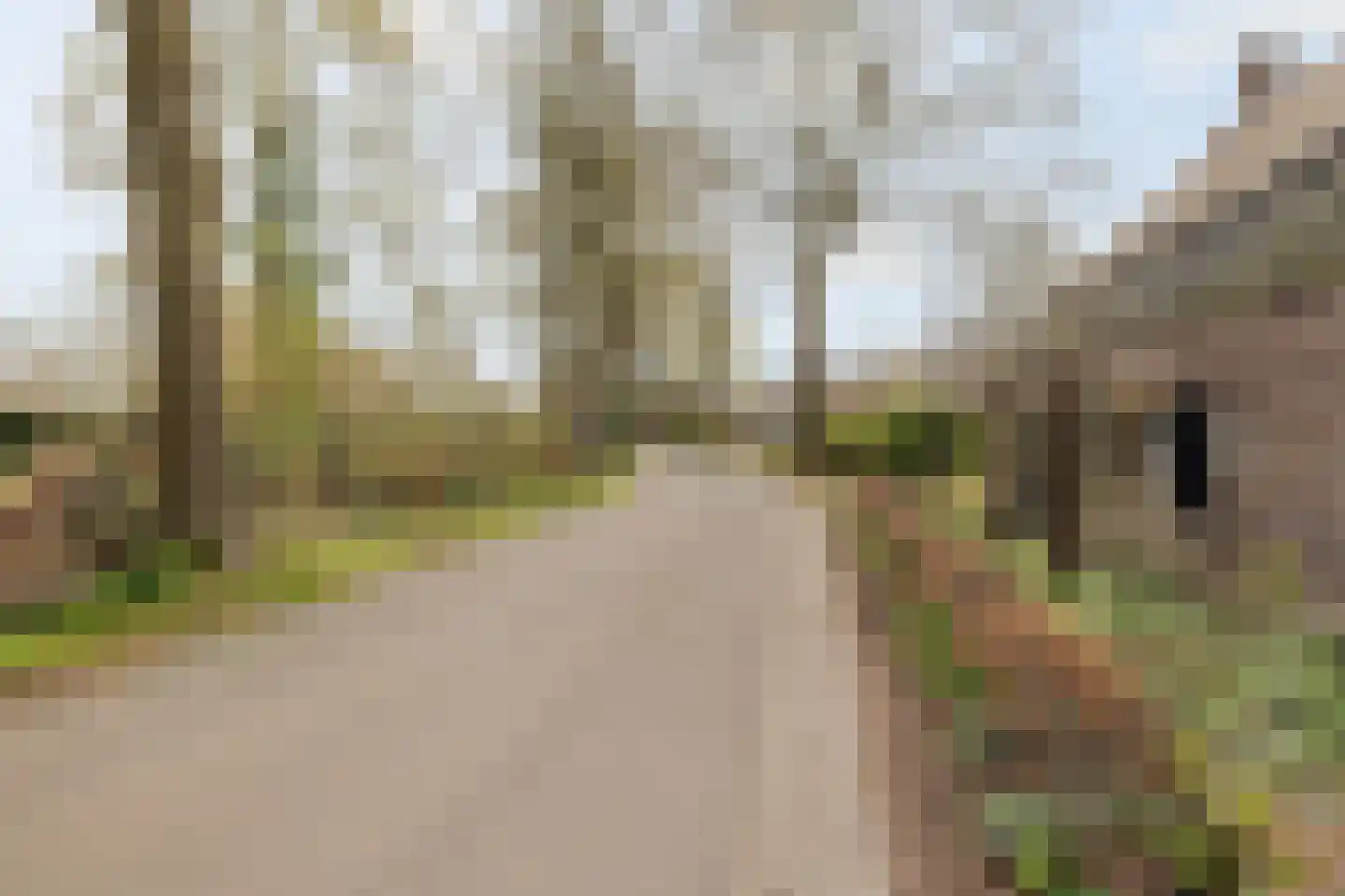 Broekstraat 59 Mierlo thumbnail 48