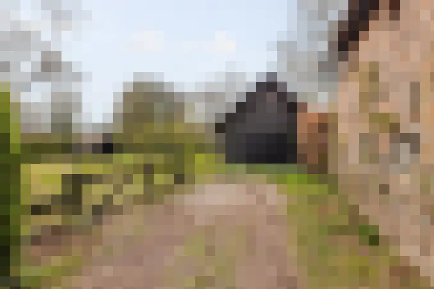 Broekstraat 59 Mierlo thumbnail 7