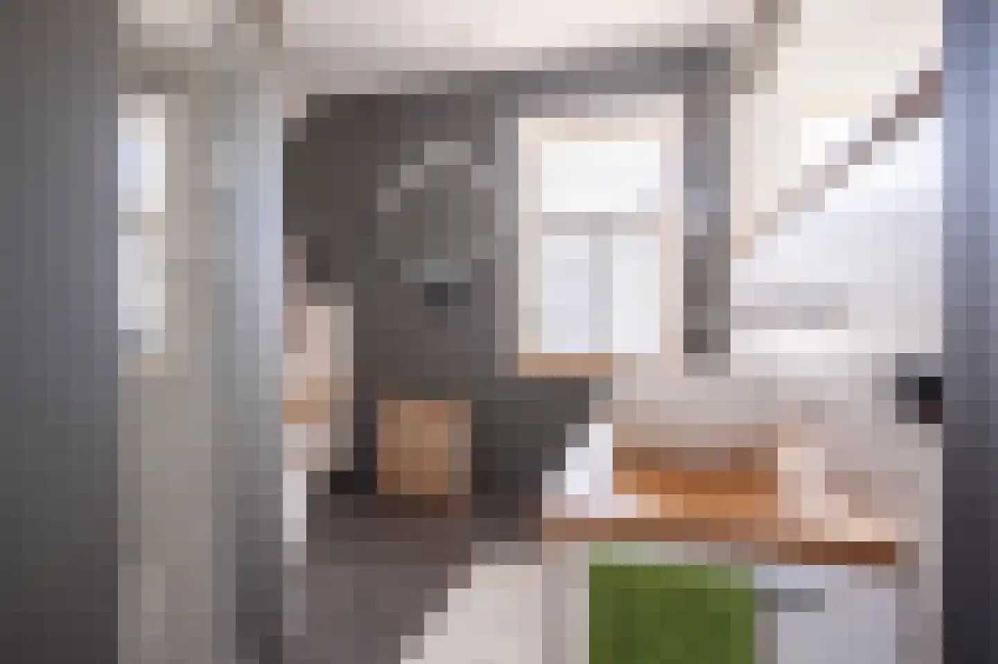 Broekstraat 6 Herten thumbnail 17