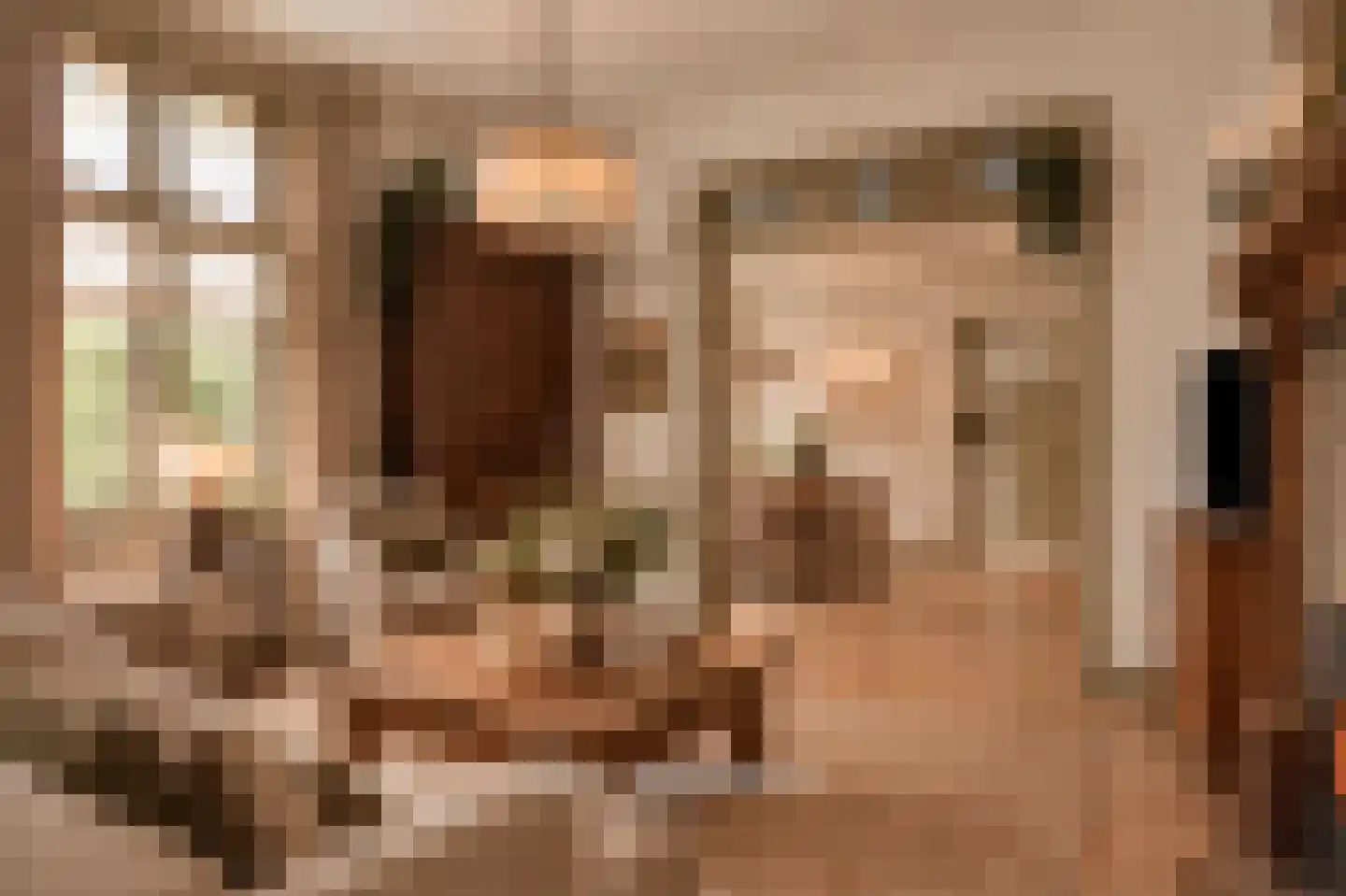 Broekstraat 6 Valburg thumbnail 21
