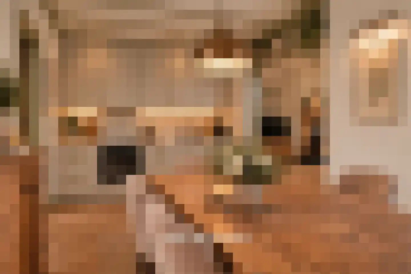 Broekstraat 6 Valburg thumbnail 30