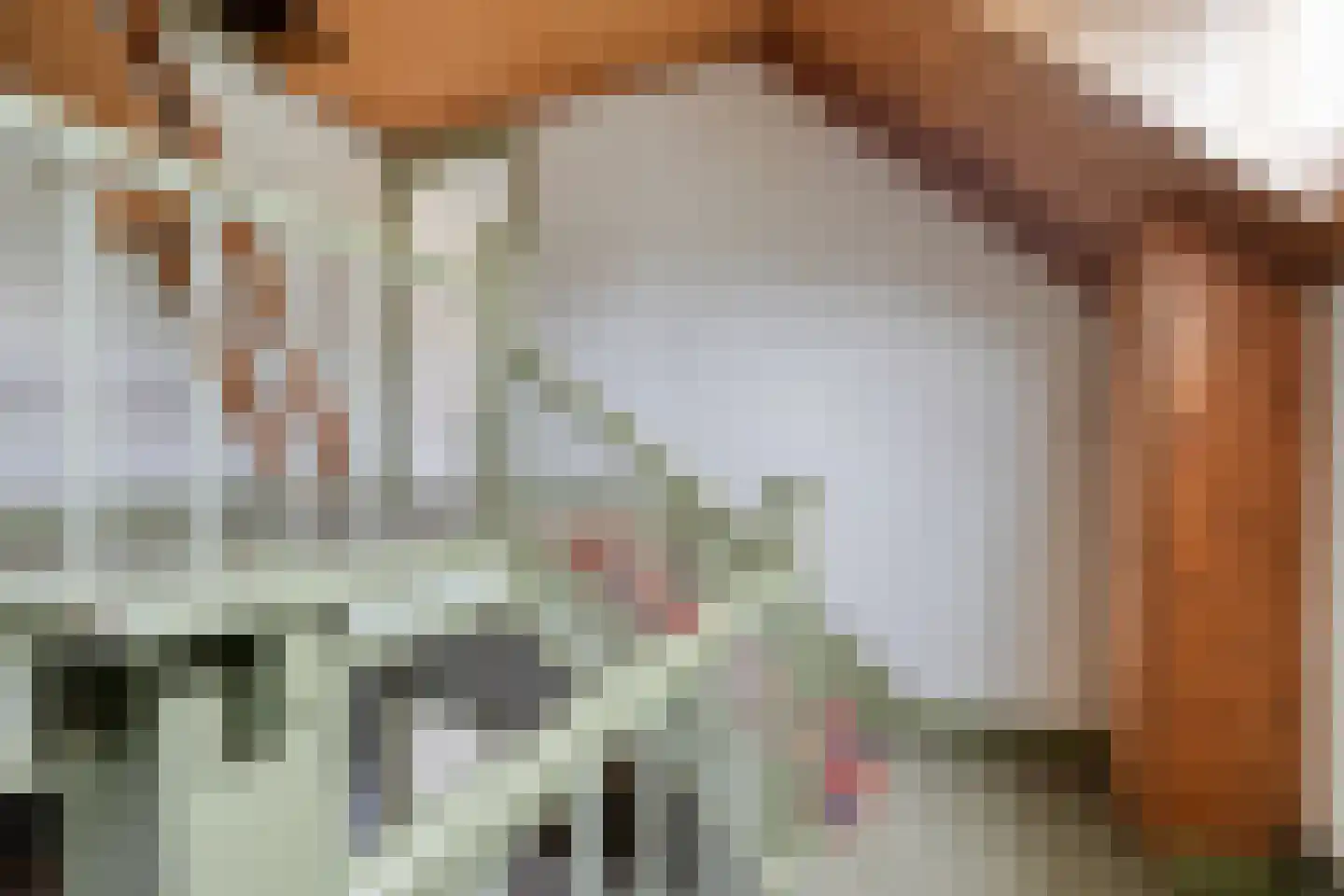 Broekstraat 6 Valburg thumbnail 31