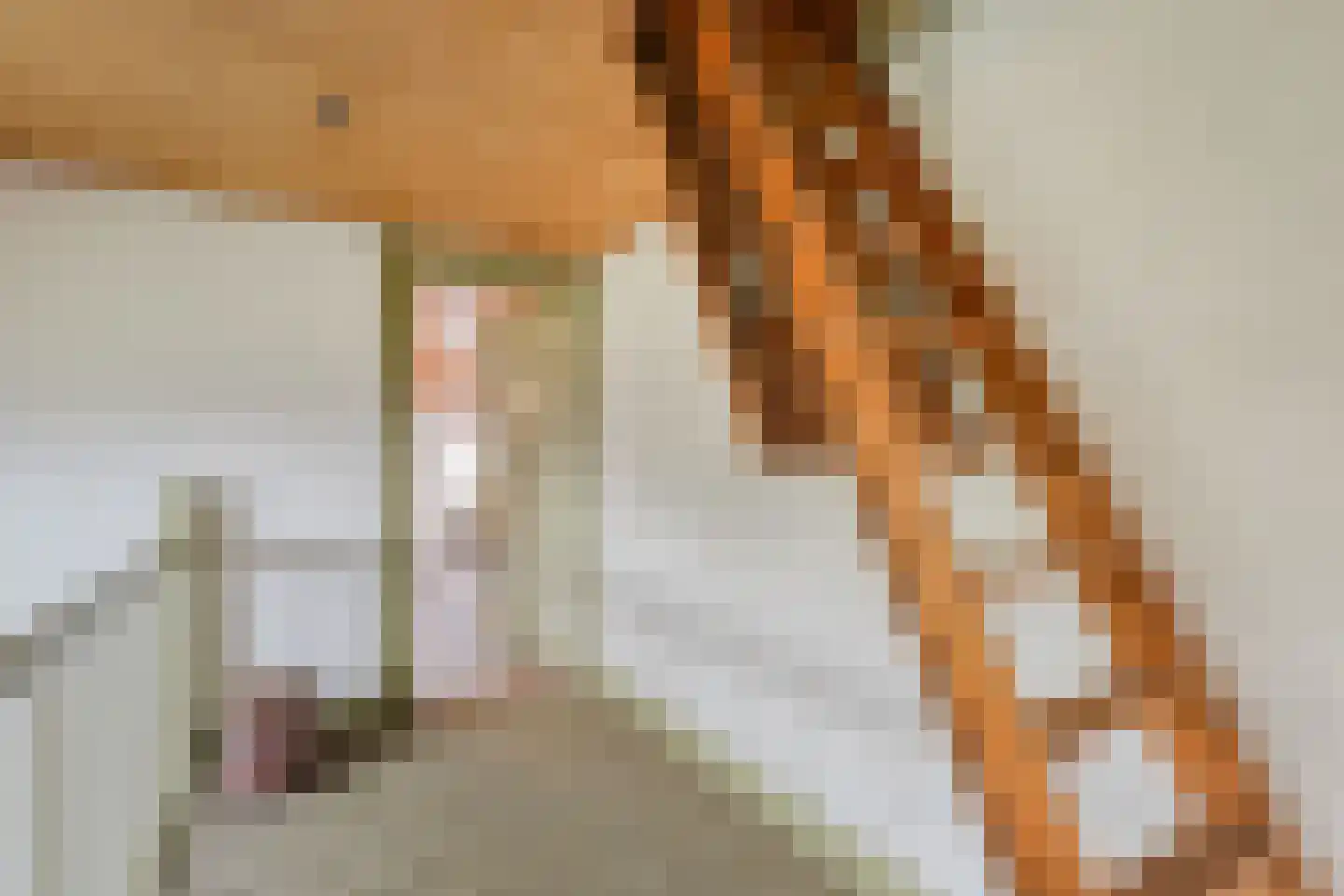 Broekstraat 6 Valburg thumbnail 32