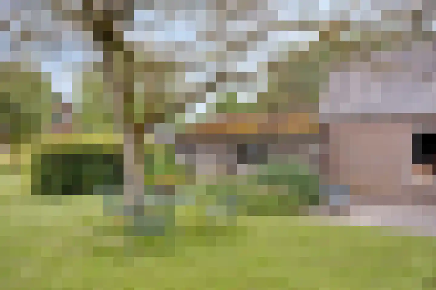 Broekstraat 6 Valburg thumbnail 42