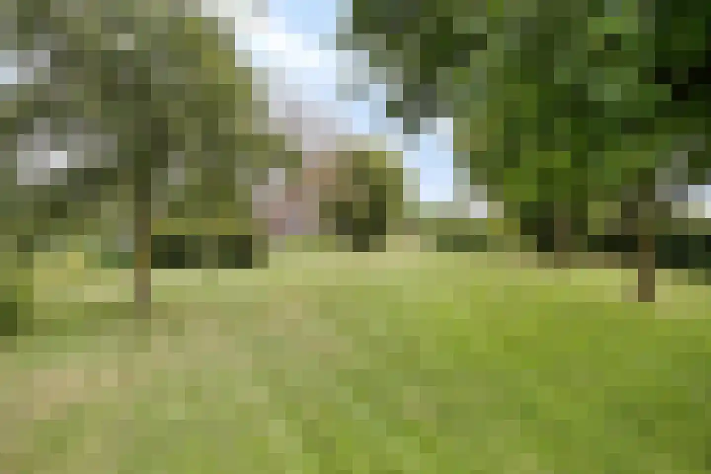 Broekstraat 6 Valburg thumbnail 45