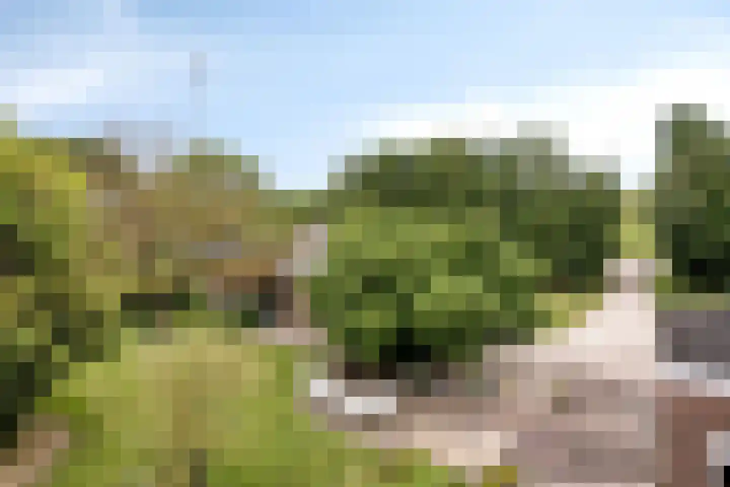 Broekstraat 6 Valburg thumbnail 48