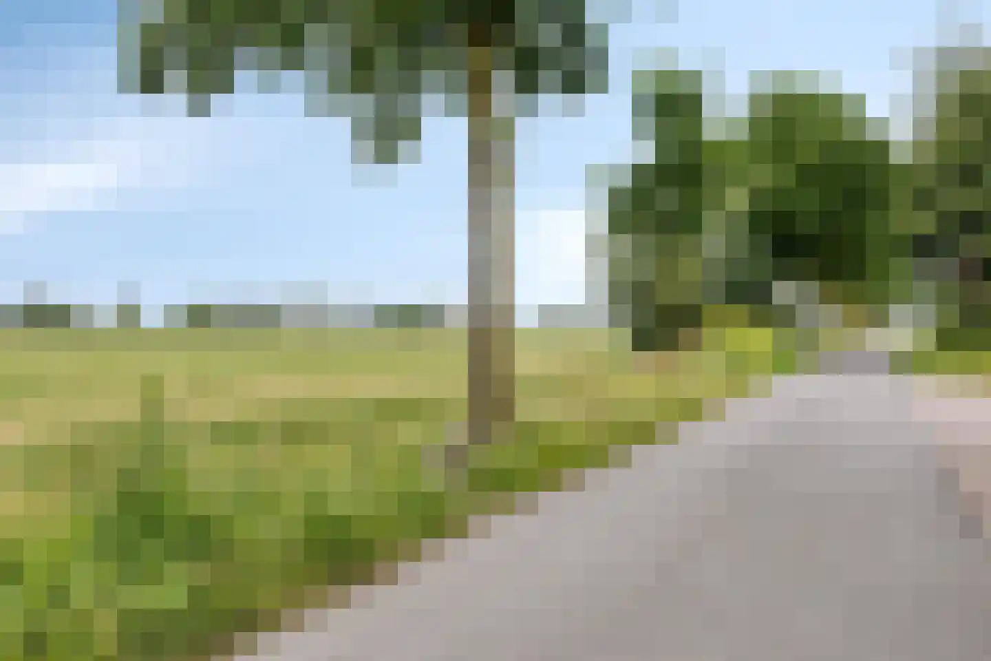 Broekstraat 6 Valburg thumbnail 55