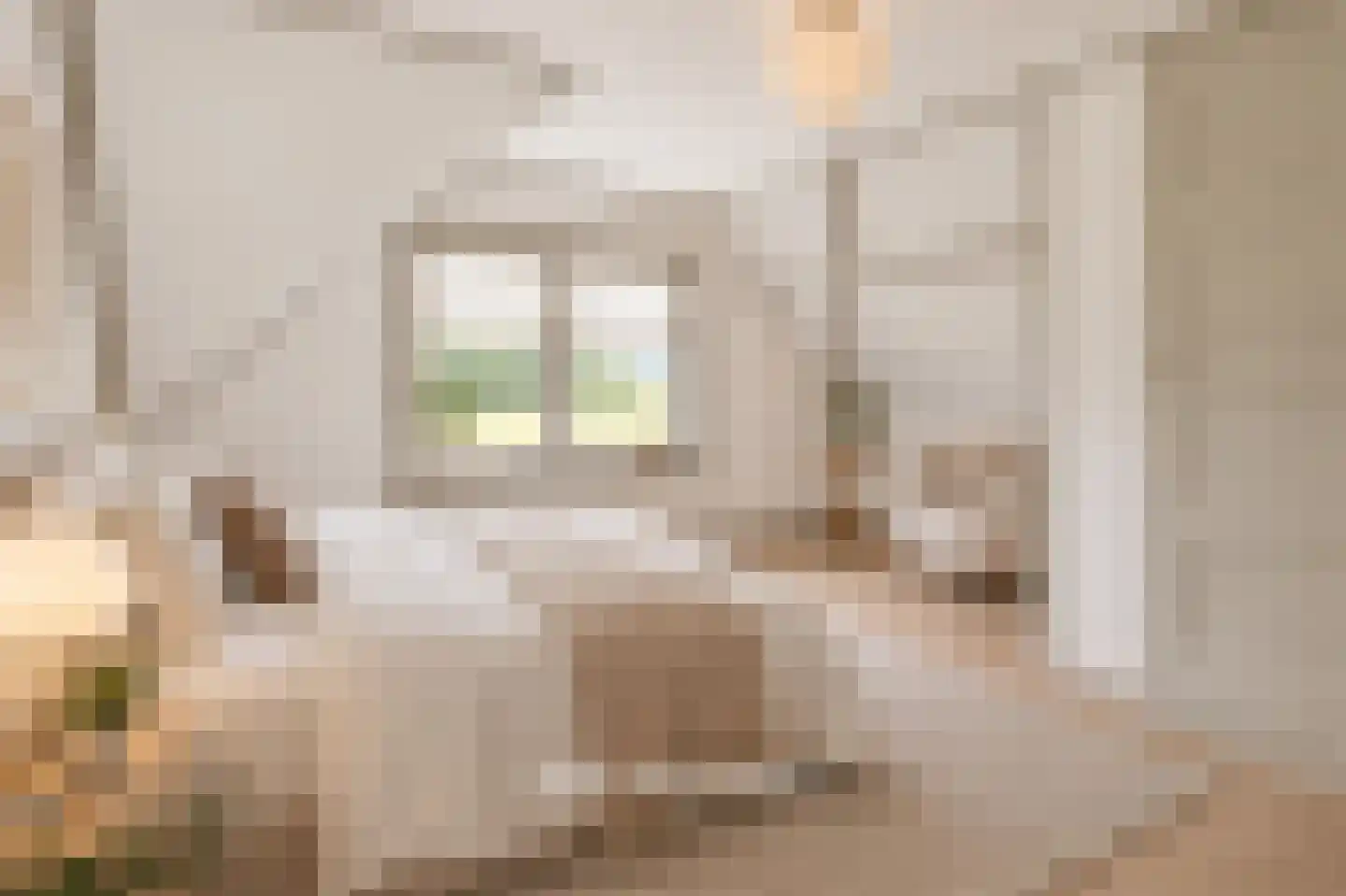 Broekstraat 6 Valburg thumbnail 55