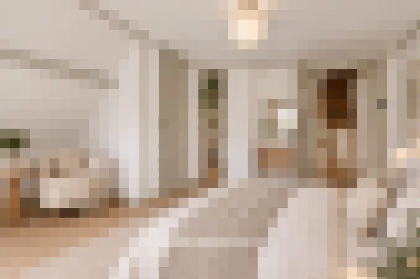 Broekstraat 6 Valburg thumbnail 57
