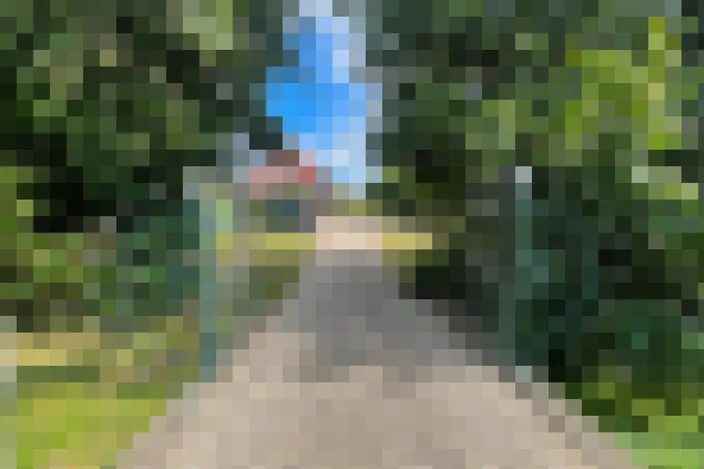 Broekstraat 6 Valburg thumbnail 6