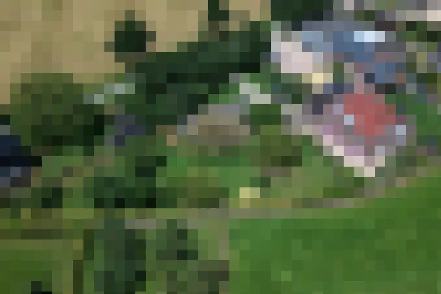Broekstraat 6 Valburg thumbnail 90