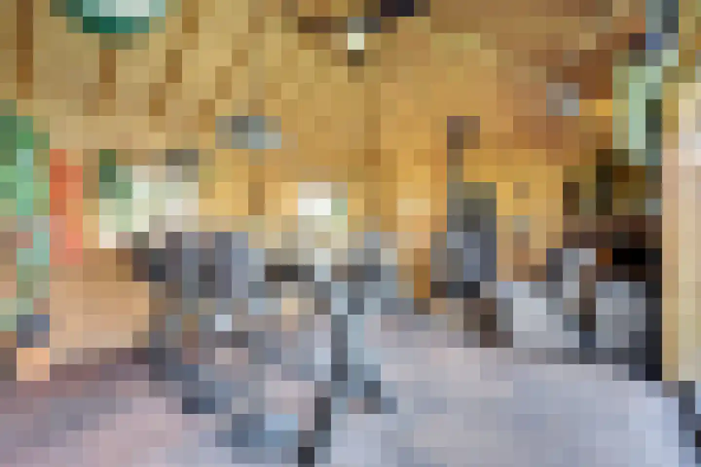 Broekstraat 61 Klarenbeek thumbnail 31