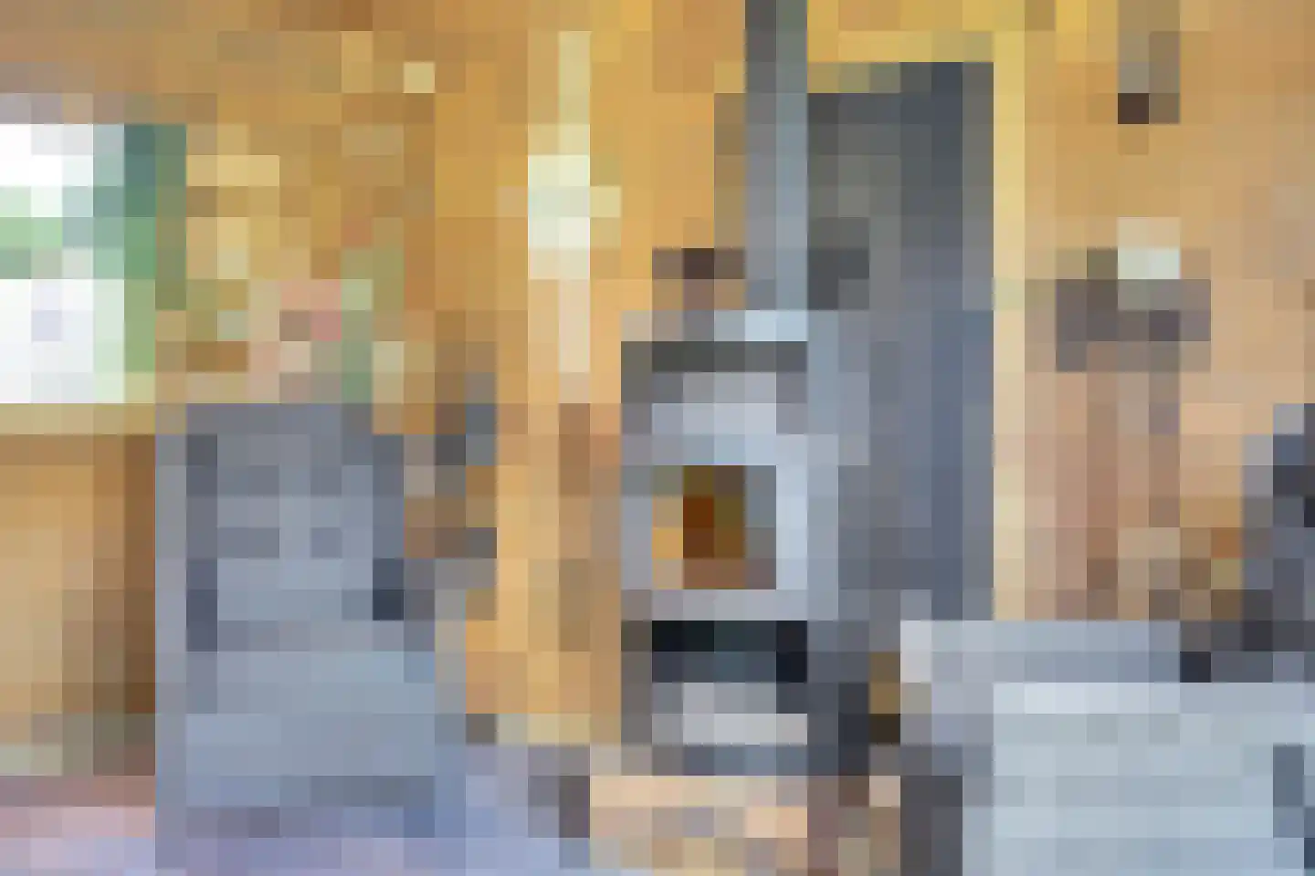 Broekstraat 61 Klarenbeek thumbnail 33
