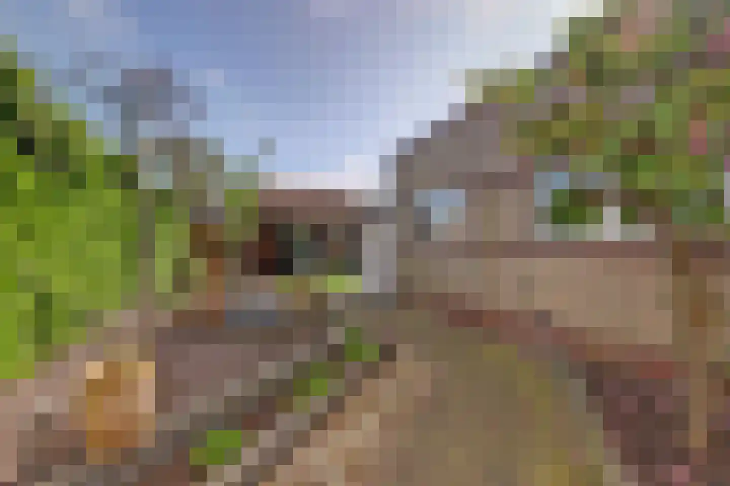 Broekstraat 61 Klarenbeek thumbnail 38