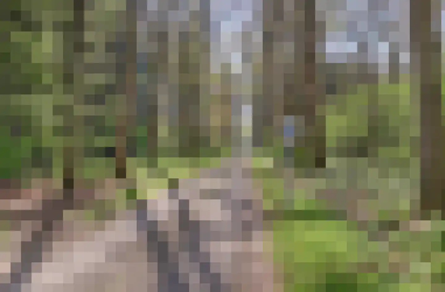 Broekstraat 61 Klarenbeek thumbnail 43