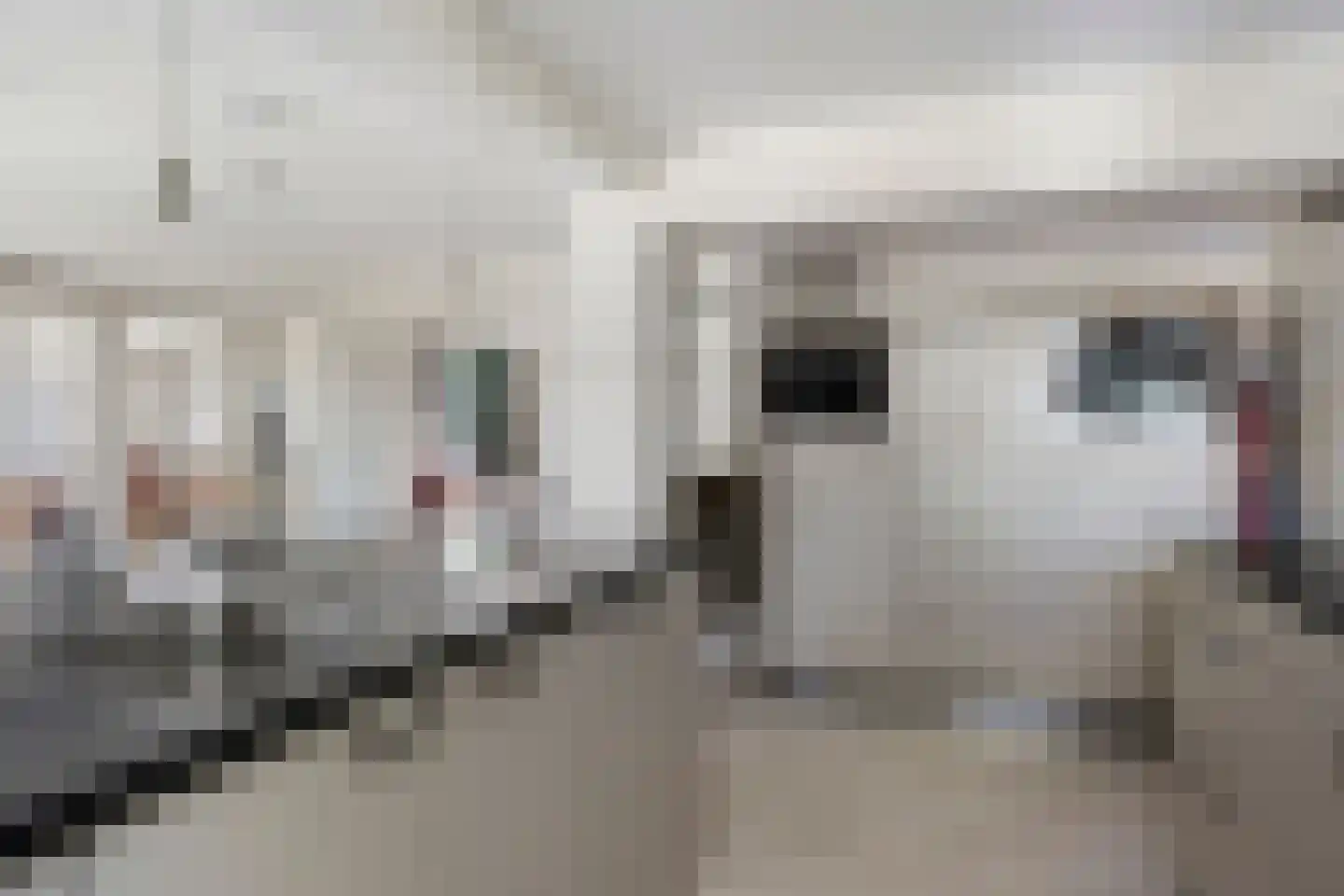 Broekstraat 72 Molenschot thumbnail 25