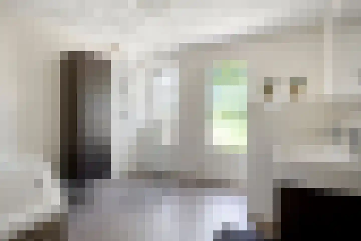 Broekstraat 72 Molenschot thumbnail 36
