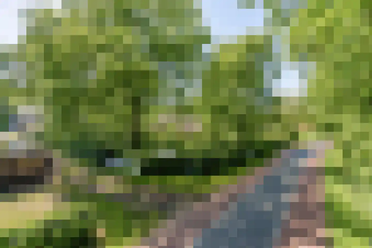 Broekstraat 72 Molenschot thumbnail 4