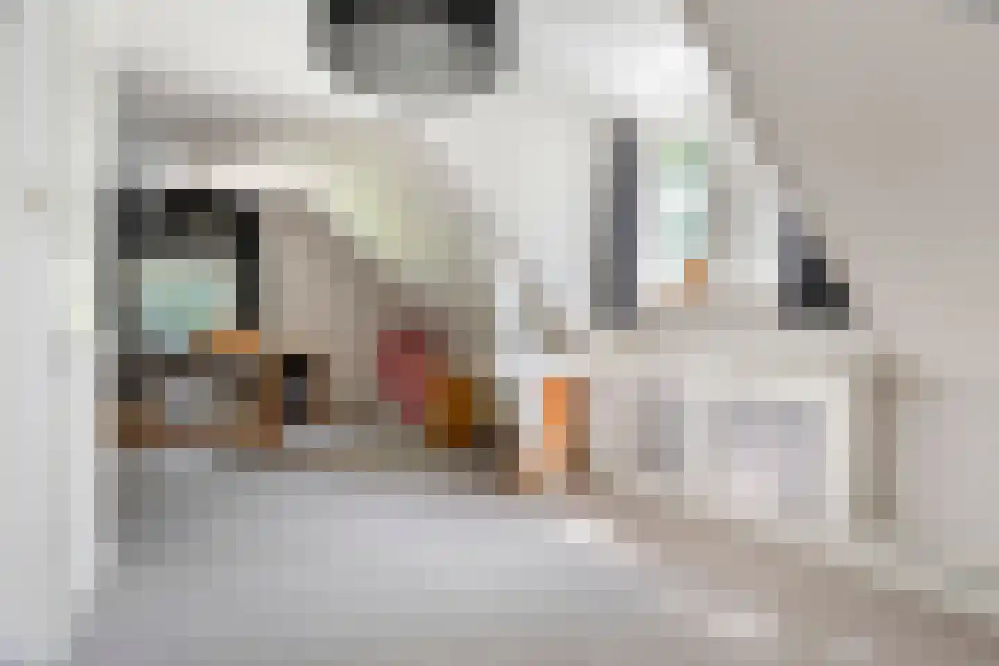 Broekstraat 72 Molenschot thumbnail 41