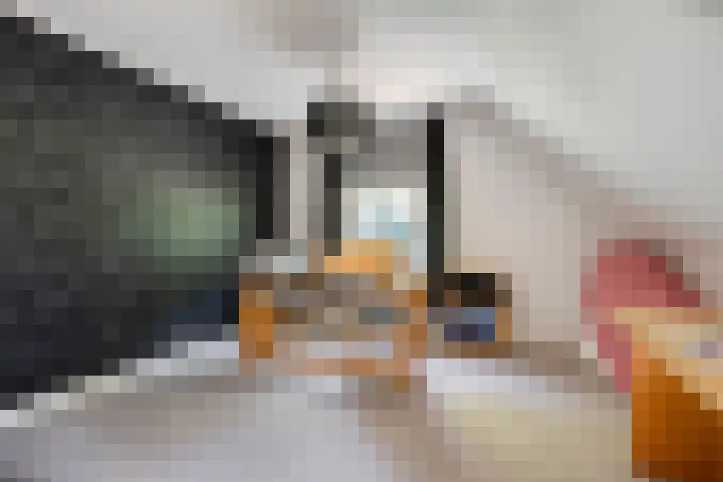 Broekstraat 72 Molenschot thumbnail 42