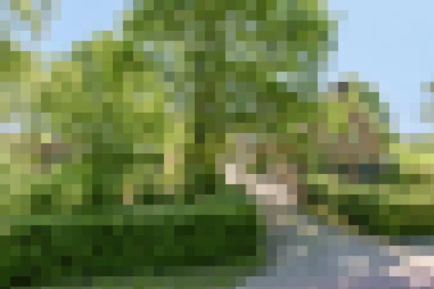 Broekstraat 72 Molenschot thumbnail 5