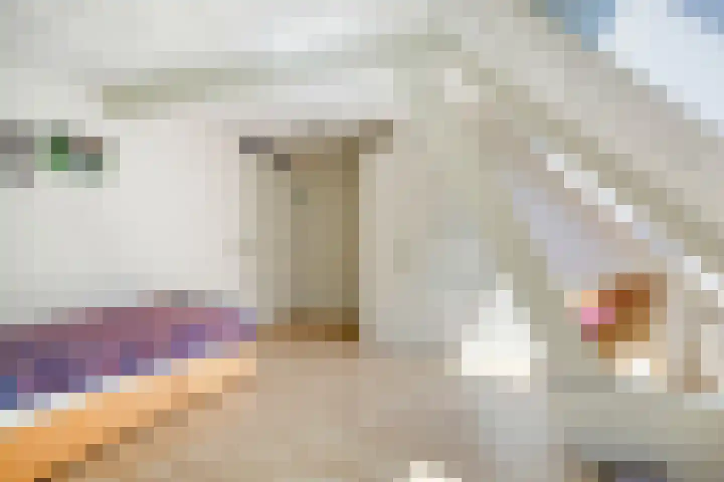Broekstraat 72 Molenschot thumbnail 52