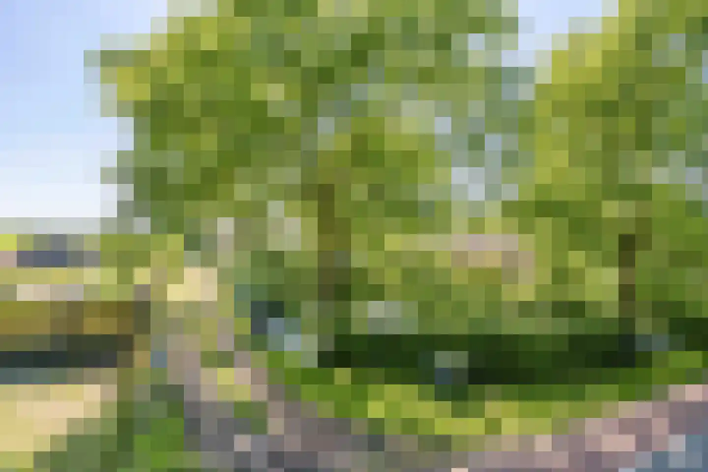 Broekstraat 72 Molenschot thumbnail 6