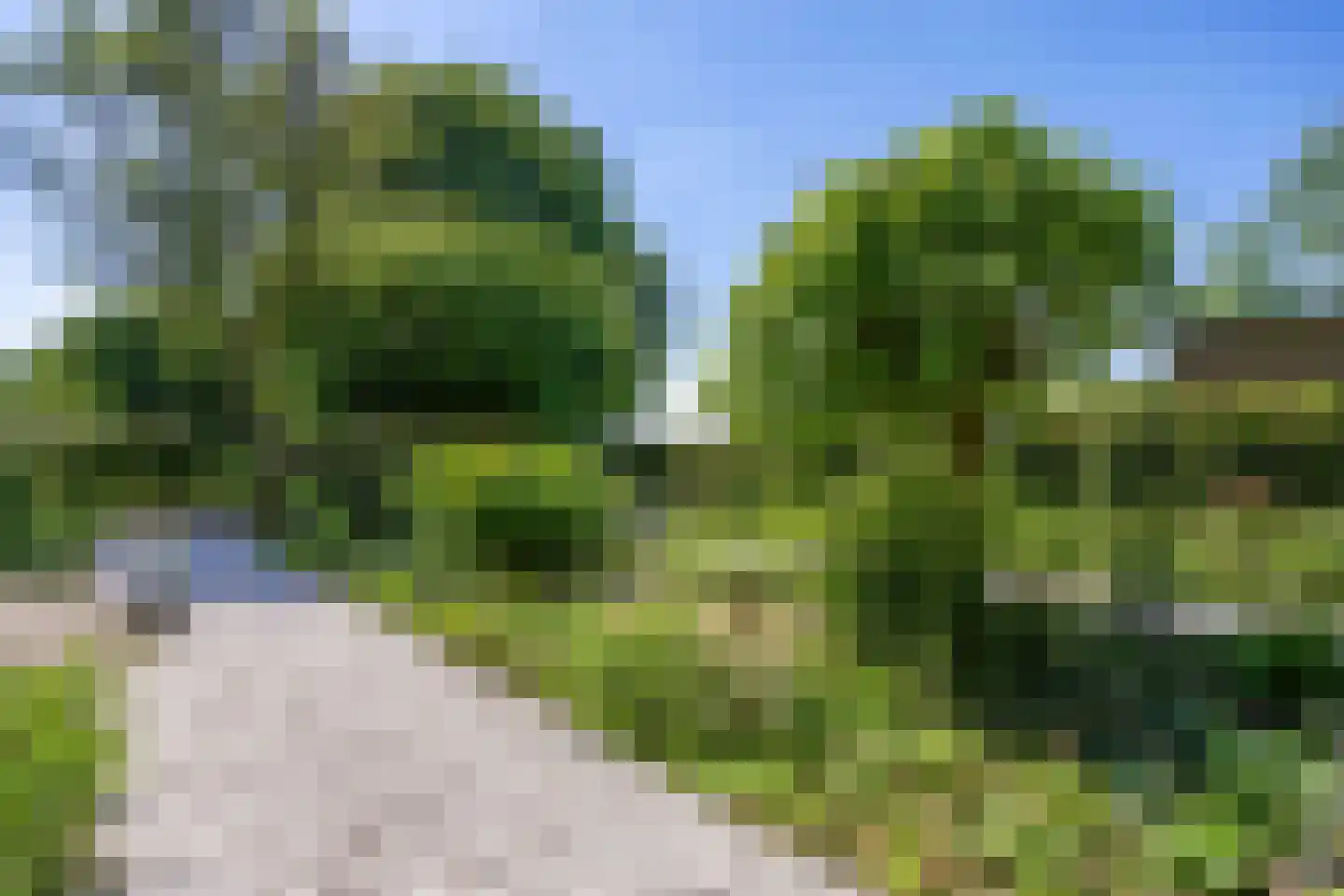Broekstraat 72 Molenschot thumbnail 60