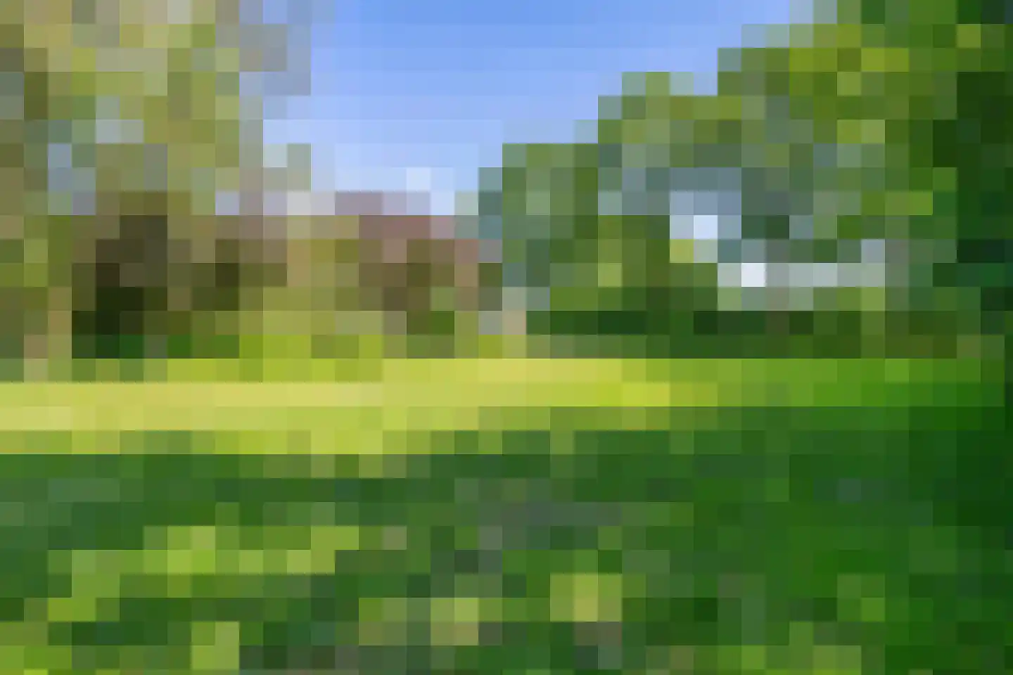 Broekstraat 72 Molenschot thumbnail 66