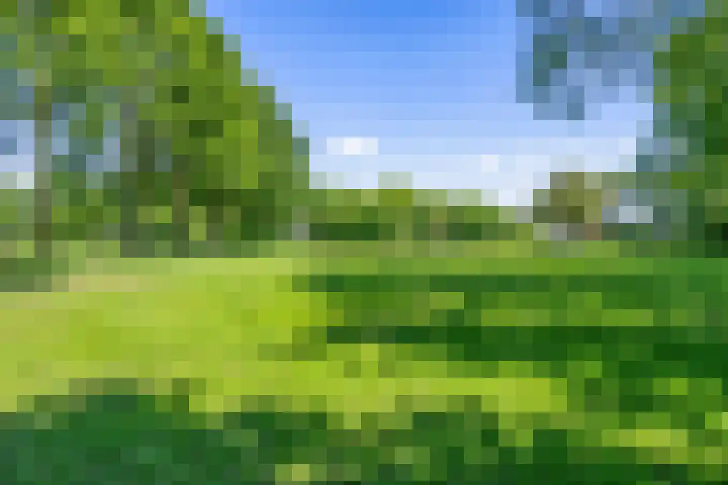 Broekstraat 72 Molenschot thumbnail 69