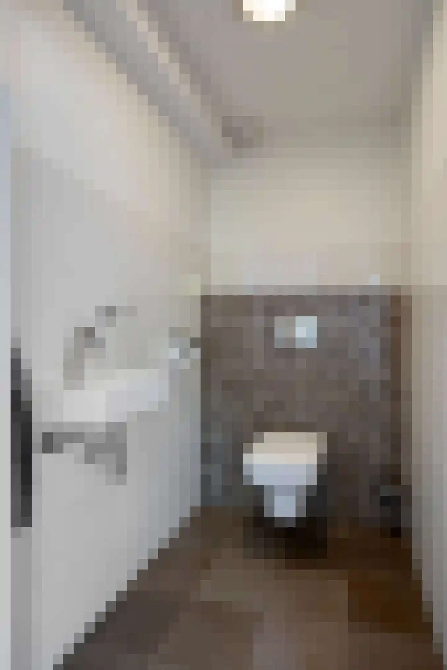 Broekstraat 72 Molenschot thumbnail 8