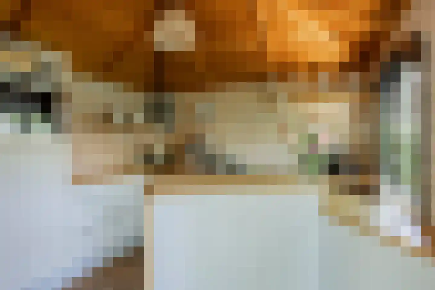 Broekstraat 72 Molenschot thumbnail 91