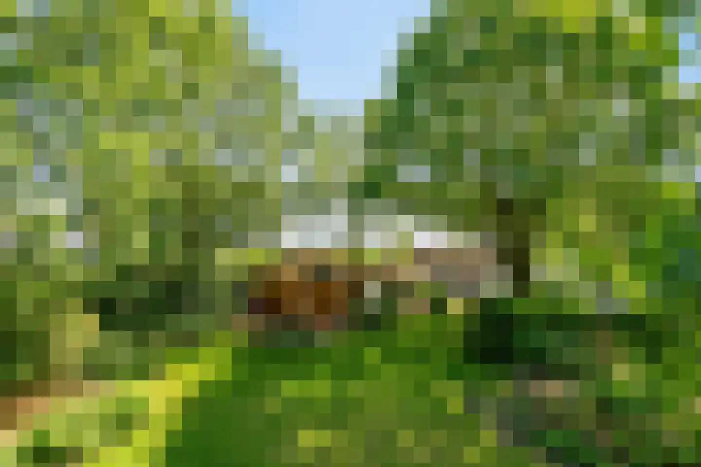 Broekstraat 72 Molenschot thumbnail 92