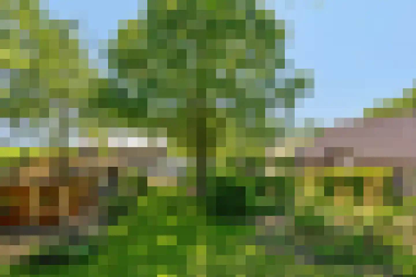 Broekstraat 72 Molenschot thumbnail 93