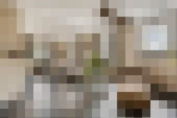 Broekstraat 79 Mierlo thumbnail 10