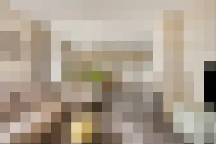 Broekstraat 79 Mierlo thumbnail 12