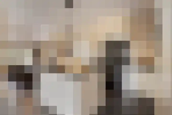 Broekstraat 79 Mierlo thumbnail 19