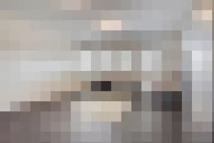 Broekstraat 79 Mierlo thumbnail 22