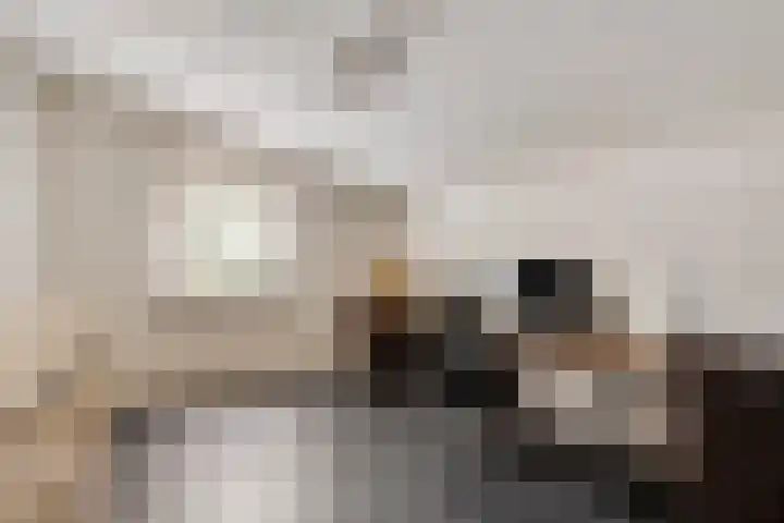 Broekstraat 79 Mierlo thumbnail 24