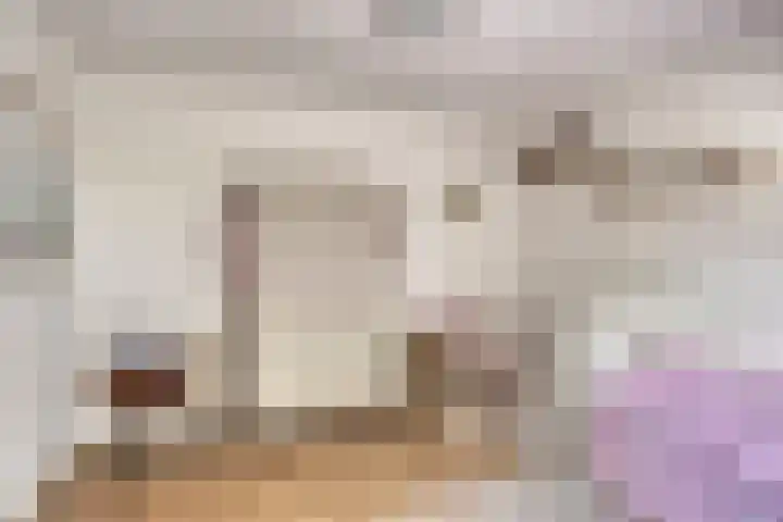 Broekstraat 79 Mierlo thumbnail 34