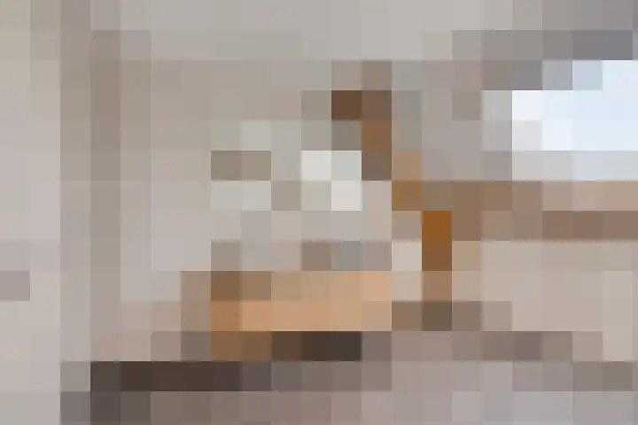Broekstraat 79 Mierlo thumbnail 37