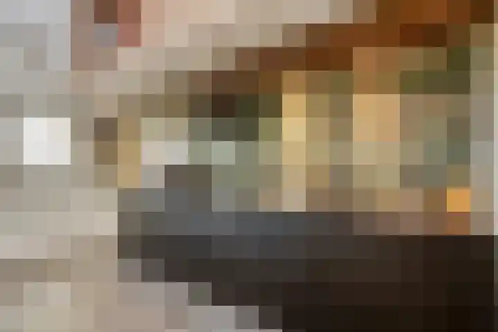 Broekstraat 79 Mierlo thumbnail 46