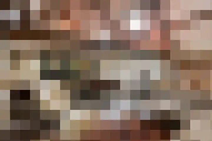 Broekstraat 79 Mierlo thumbnail 47