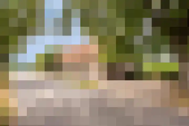Broekstraat 79 Mierlo thumbnail 6