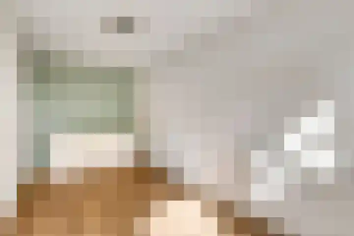 Broekstraat 79 Mierlo thumbnail 62