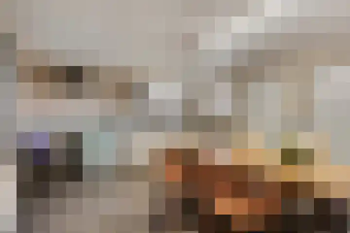 Broekstraat 79 Mierlo thumbnail 66