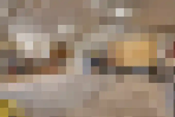 Broekstraat 79 Mierlo thumbnail 69
