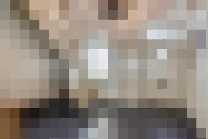 Broekstraat 79 Mierlo thumbnail 8
